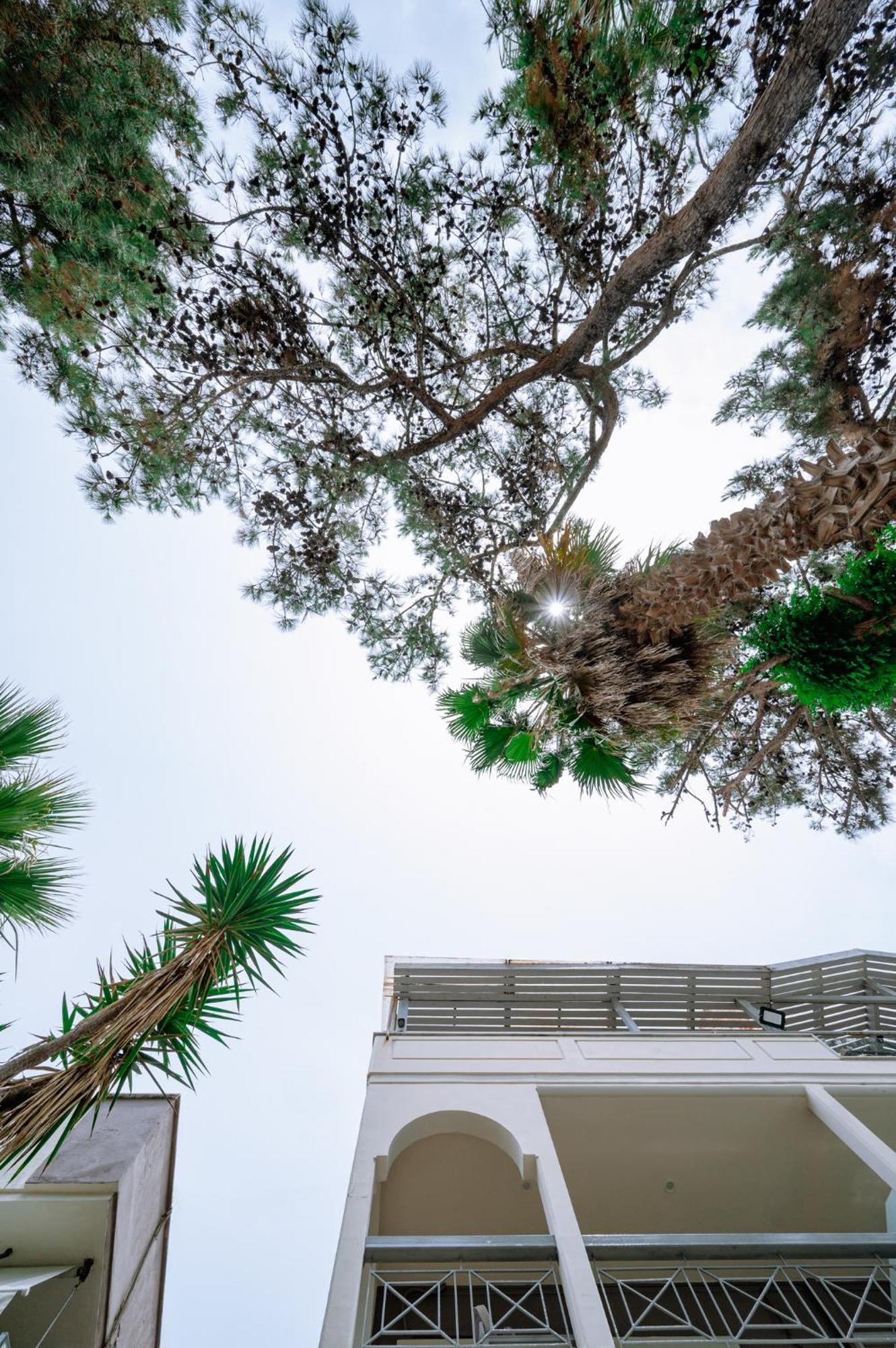 Ktima Papaoikonomou Apartment Potos Luaran gambar